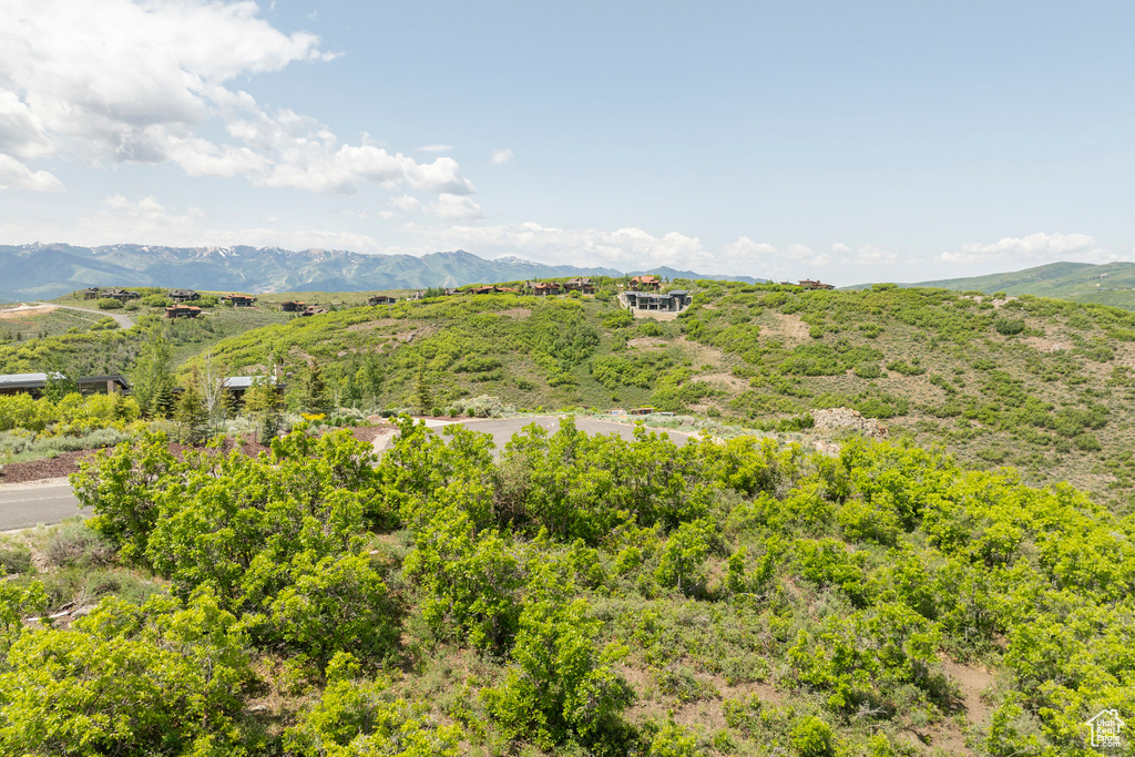 View of mountain backdrop