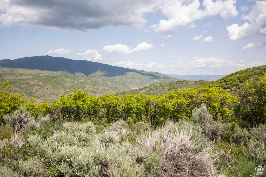 View of mountain background