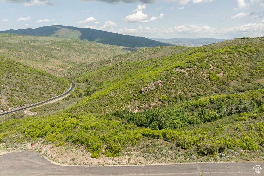 Mountain view