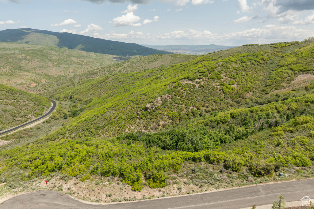Mountain view