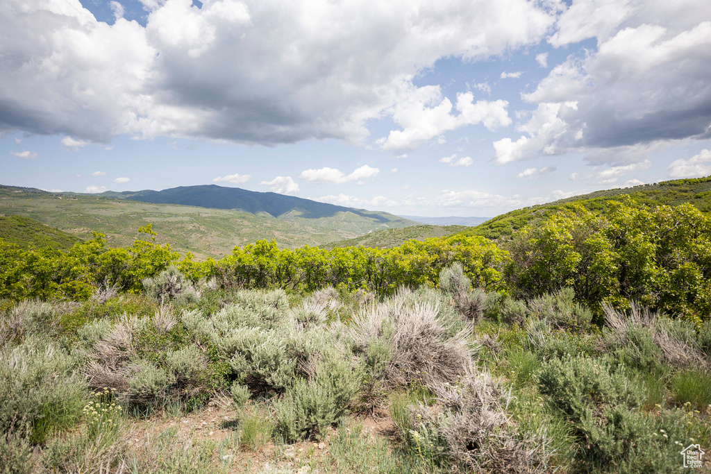 View of mountain backdrop