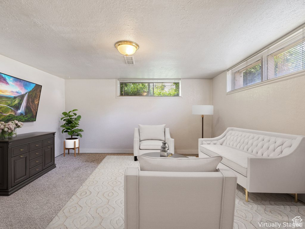 Living area with a textured ceiling