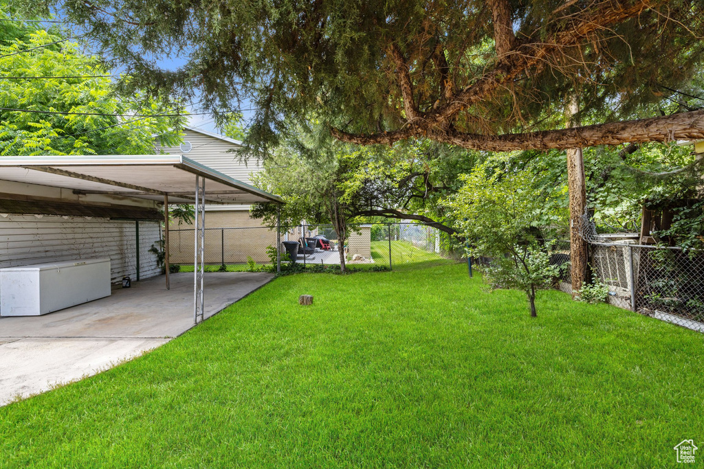 View of yard with a patio area