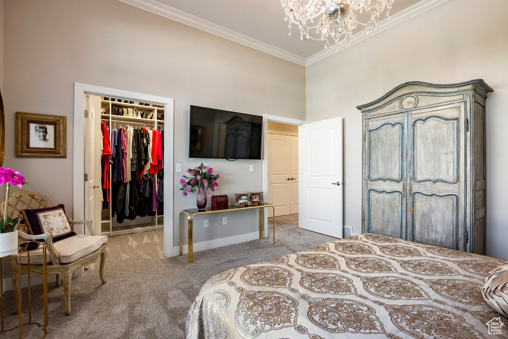 Carpeted bedroom featuring a spacious closet, crown molding, a chandelier, a high ceiling, and a closet
