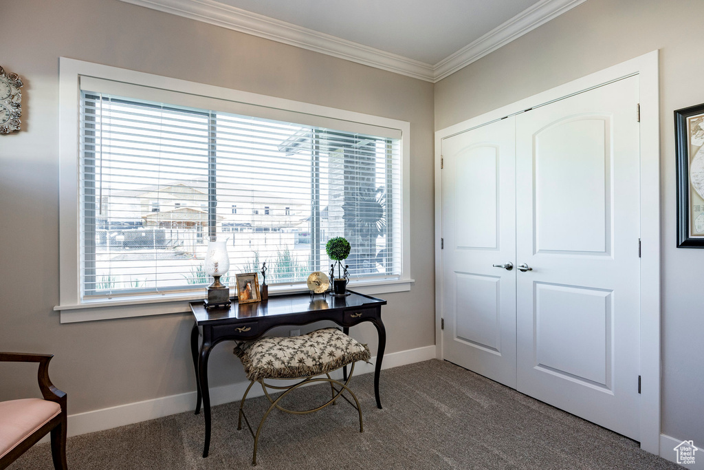 Carpeted office featuring ornamental molding and baseboards