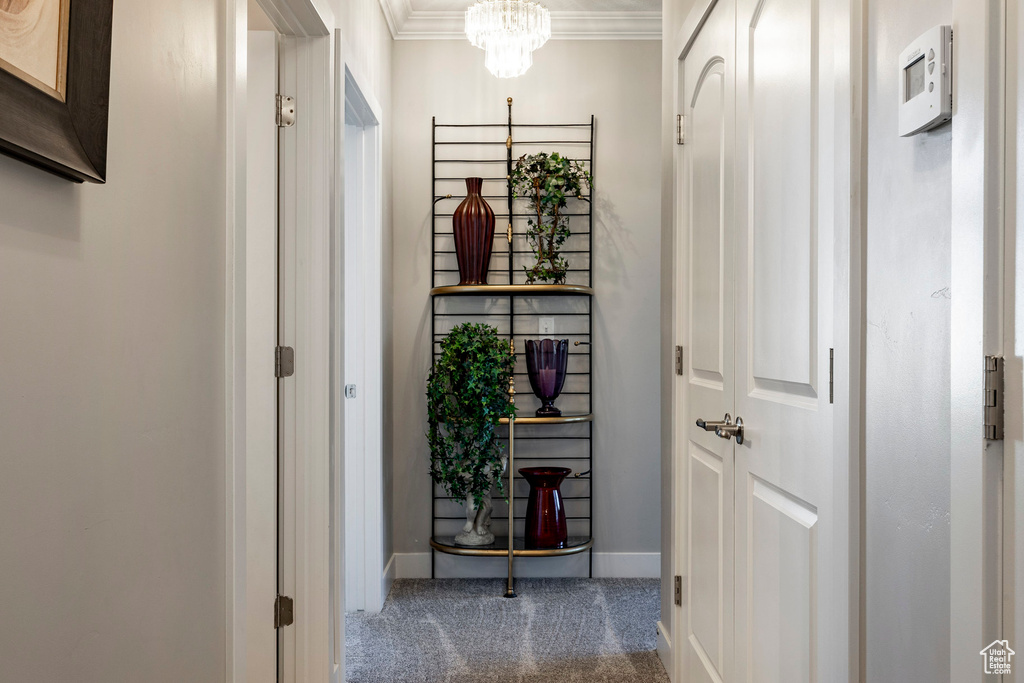 Entryway featuring carpet flooring, crown molding, and a chandelier