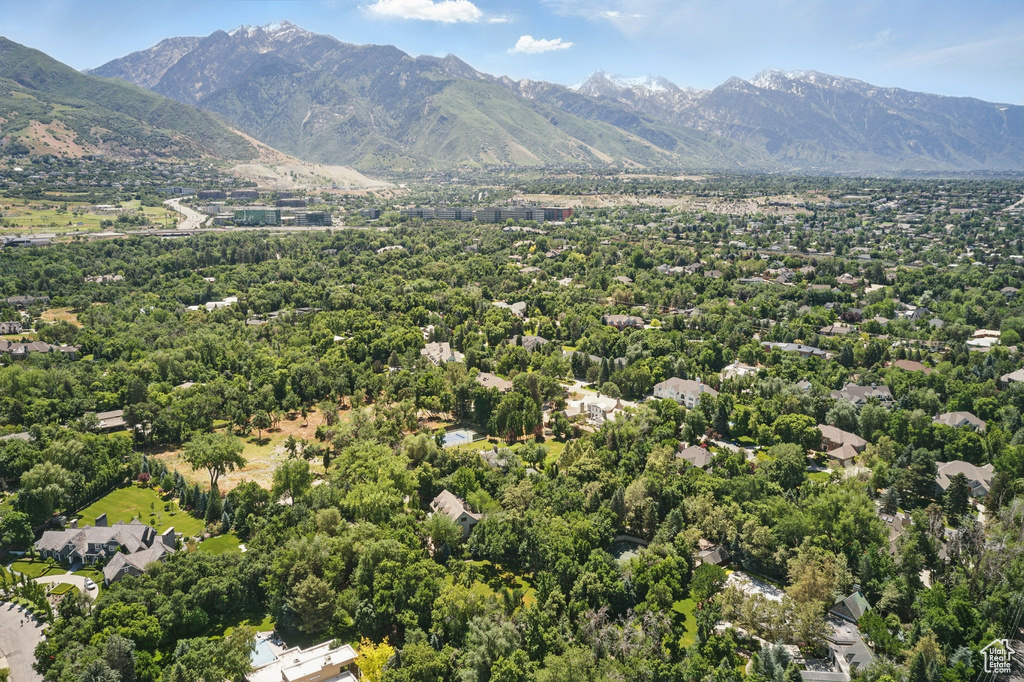 6033 S 2300 E Holladay, UT 84121