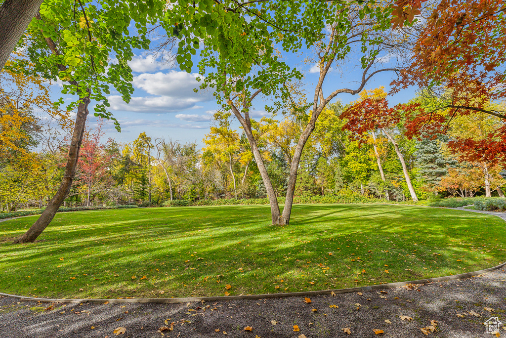 6033 S 2300 E Holladay, UT 84121