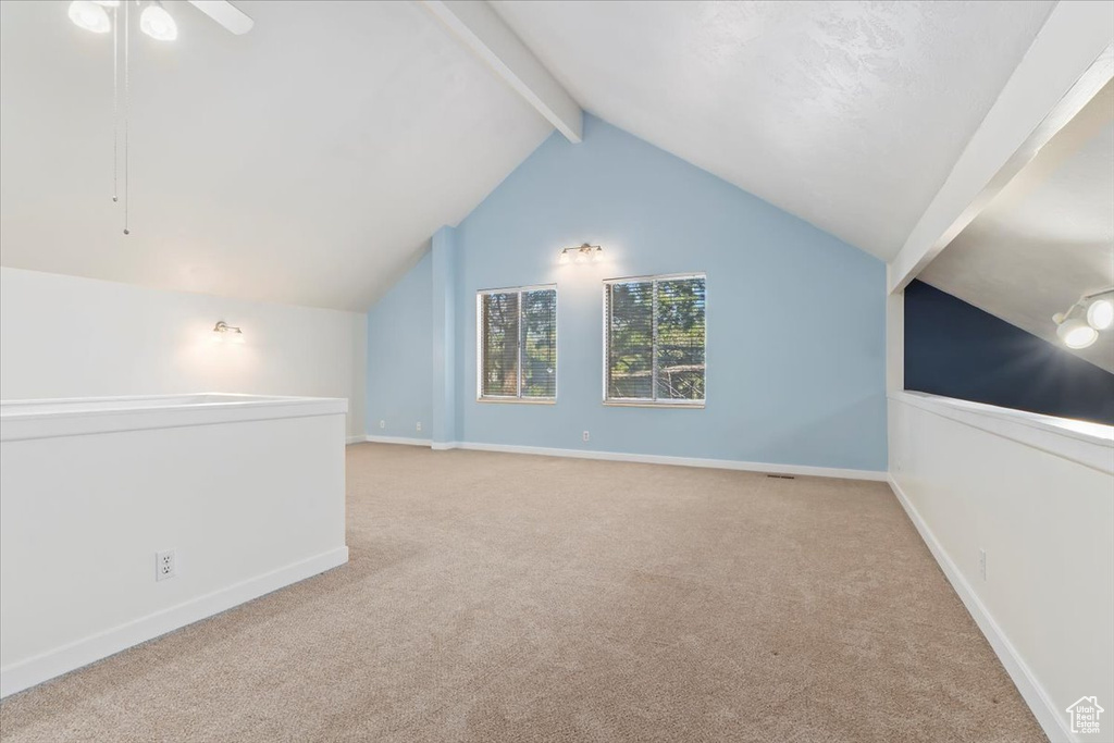 Bonus room with carpet flooring