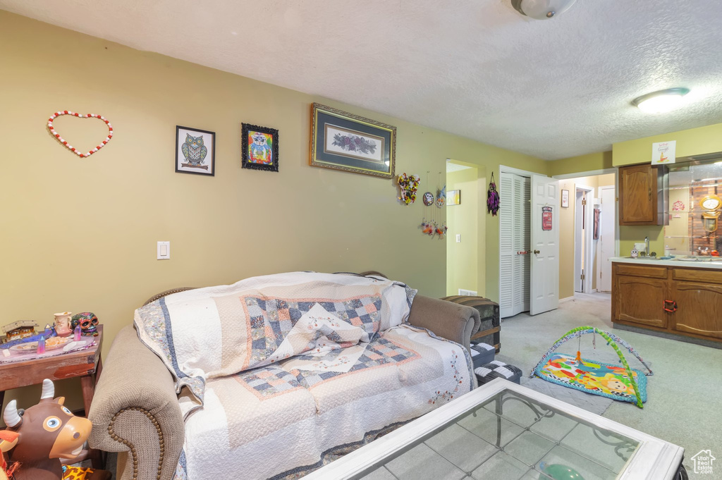 Living room with a textured ceiling and light carpet