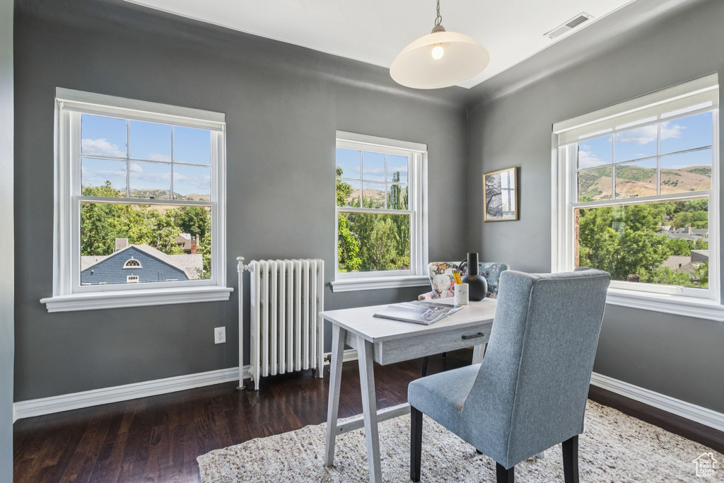 Office space featuring radiator heating unit and wood finished floors