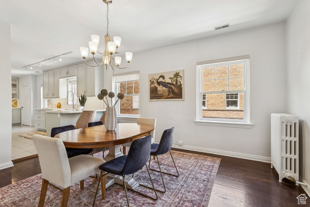 Dining room featuring radiator heating unit, track lighting, a chandelier, and healthy amount of natural light