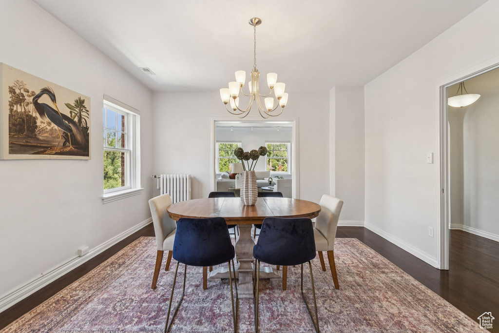 Dining space featuring radiator, wood finished floors, healthy amount of natural light, and a chandelier