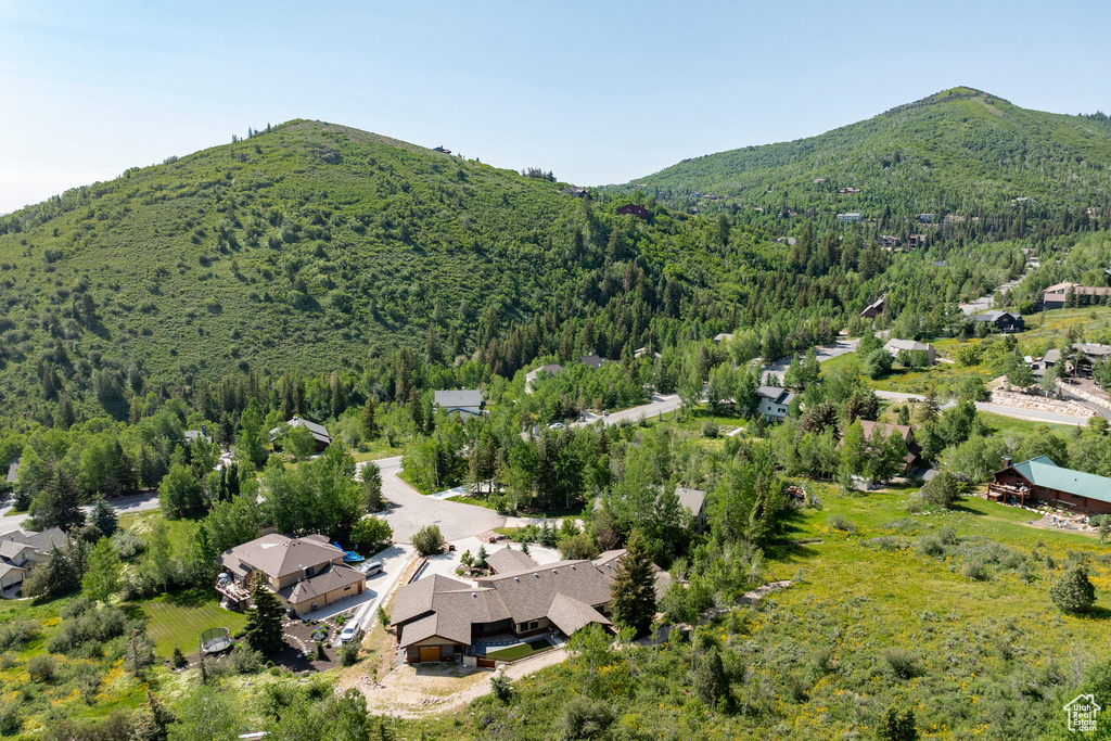 Drone / aerial view of a mountain backdrop and a forest