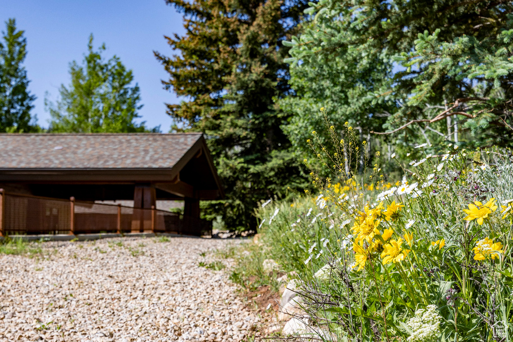 View of home's exterior with a shingled roof