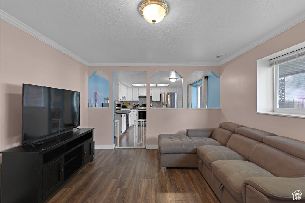 Living area with dark wood finished floors, ornamental molding, and a textured ceiling