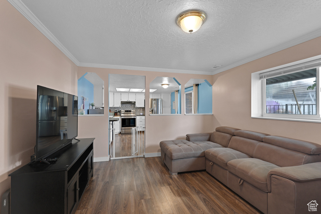 Living area featuring dark wood-style flooring, crown molding, and a textured ceiling
