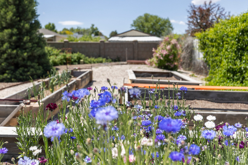Exterior view of a vegetable garden and a fenced backyard