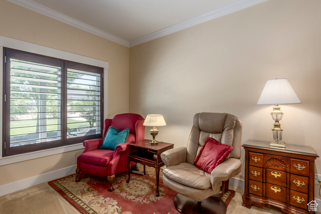 Living area featuring ornamental molding and carpet