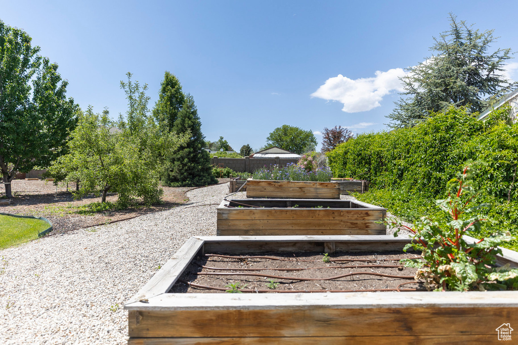 View of yard featuring a garden