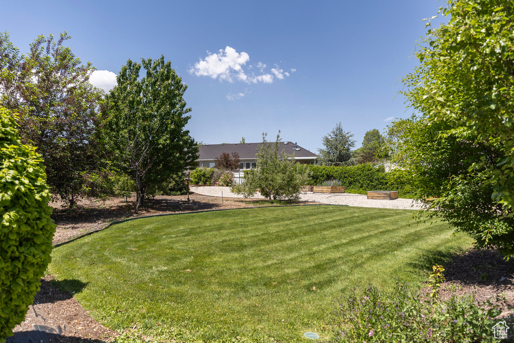 View of green lawn