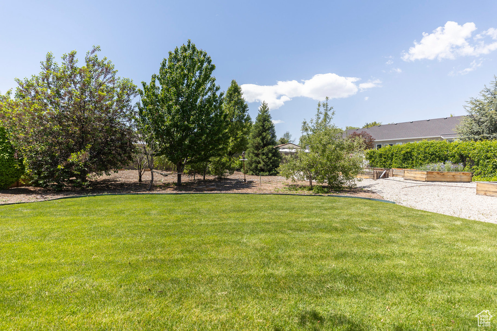View of green lawn
