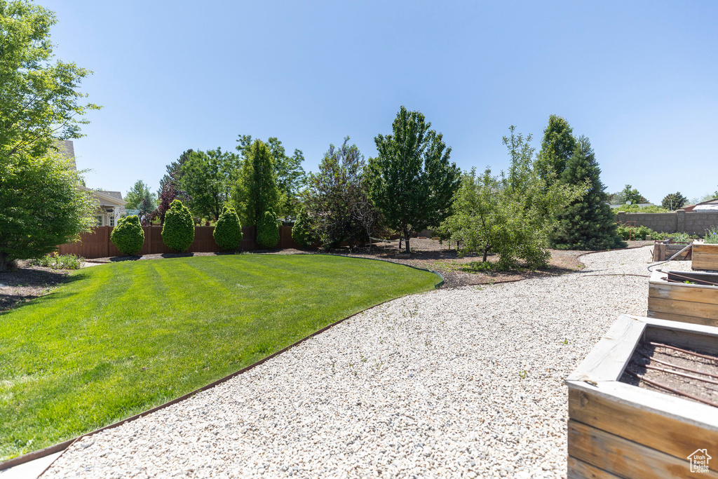 View of yard featuring a vegetable garden