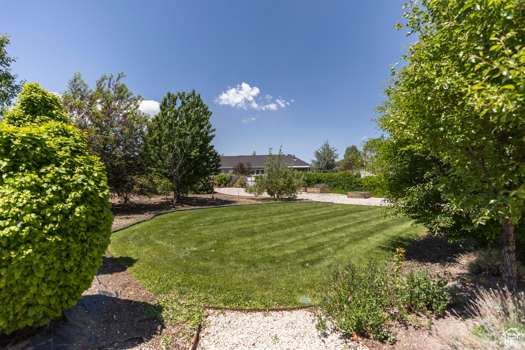View of green lawn