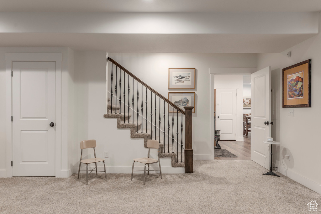 Stairs with carpet flooring and baseboards