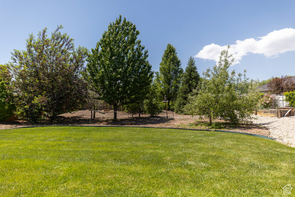View of green lawn