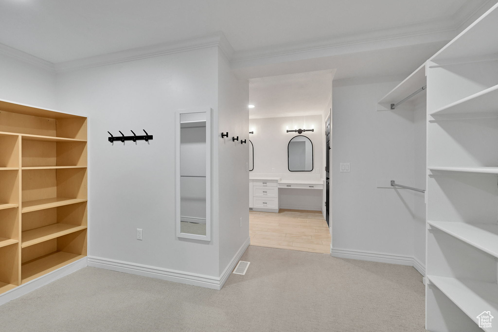 Walk in closet with light carpet