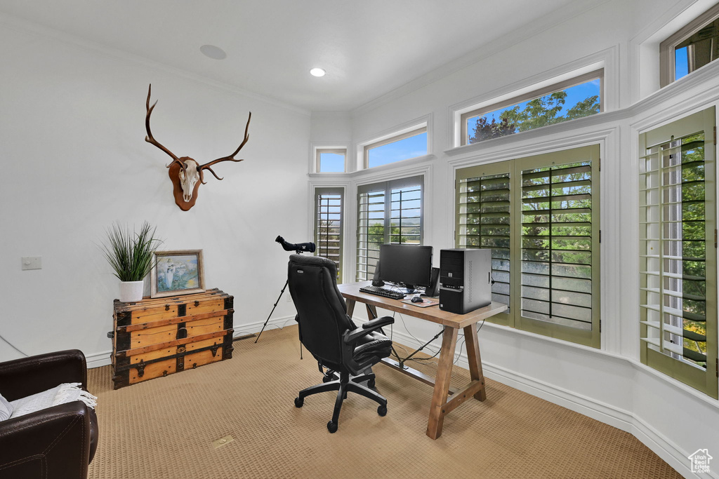 Office space with ornamental molding and baseboards