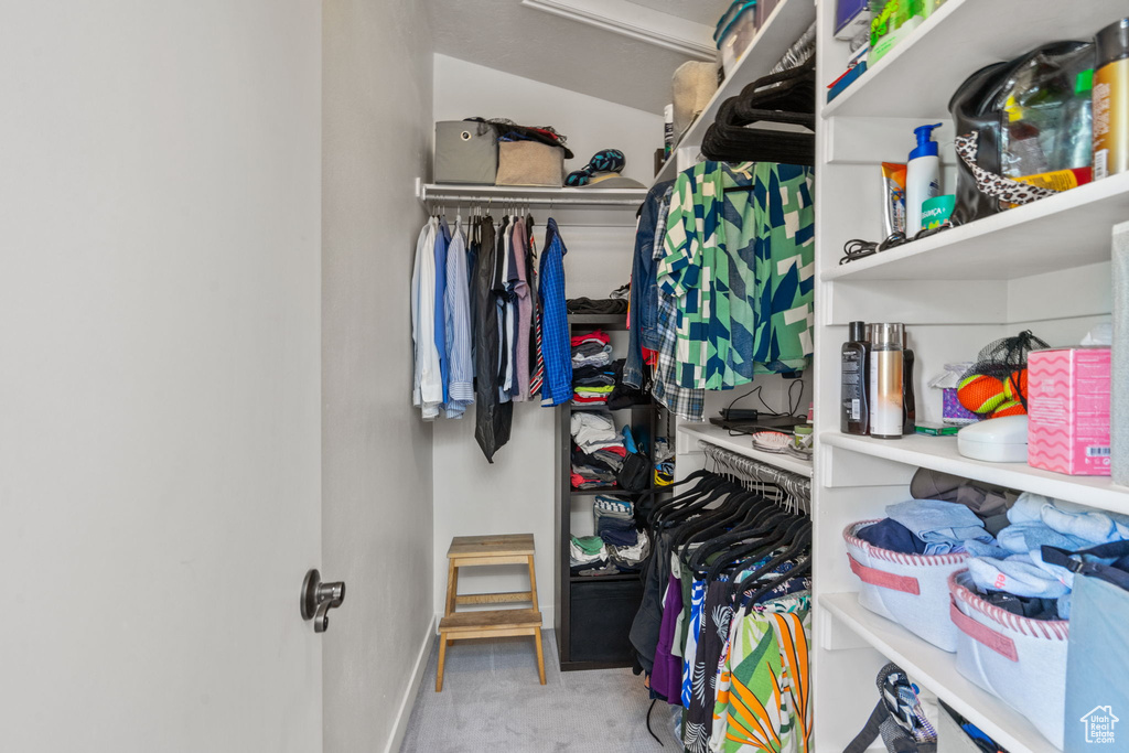 Walk in closet featuring carpet floors
