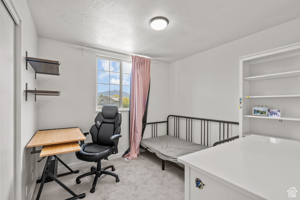 Office with light colored carpet and a textured ceiling
