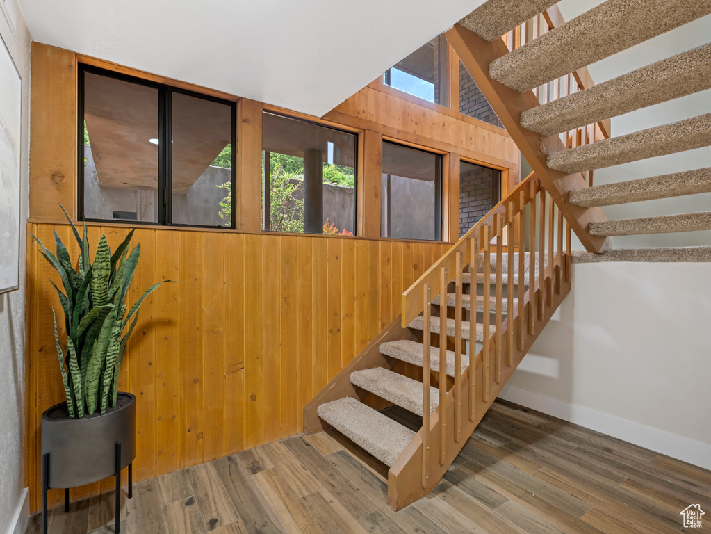 Stairway with wooden walls and wood finished floors
