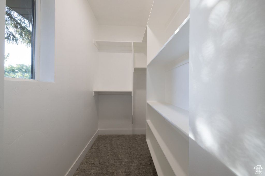 Spacious closet featuring dark colored carpet