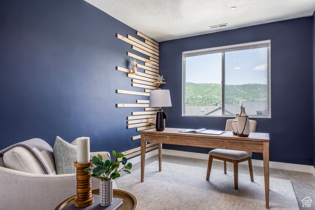 Carpeted office space featuring a textured ceiling and baseboard heating