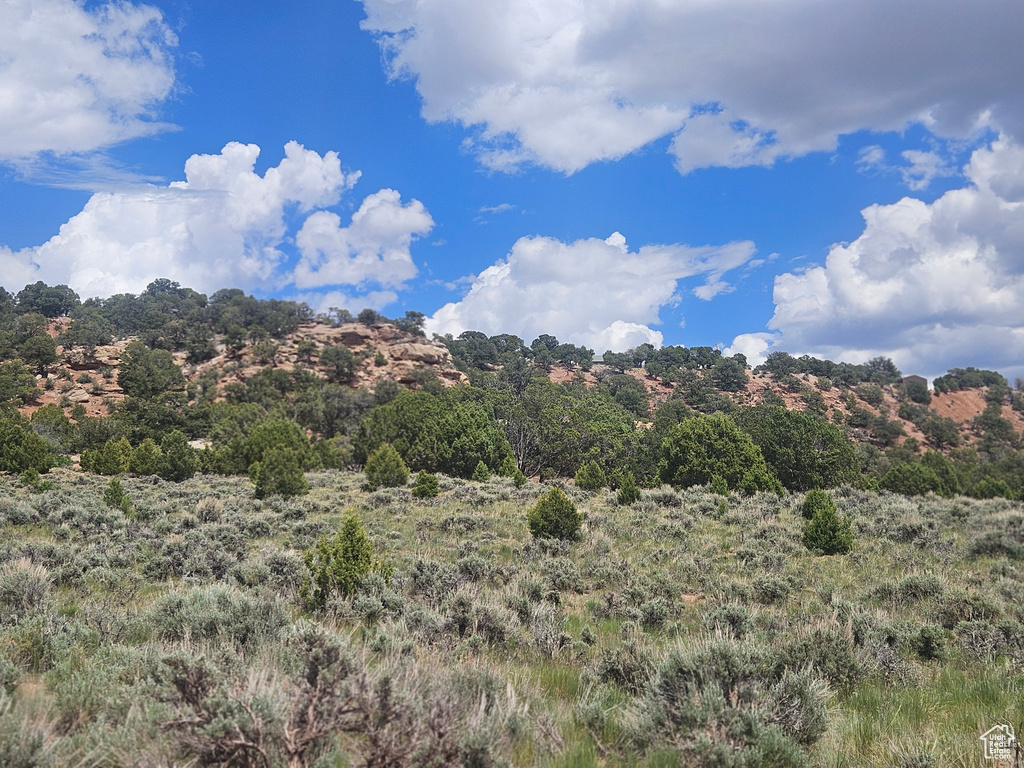 View of undeveloped land