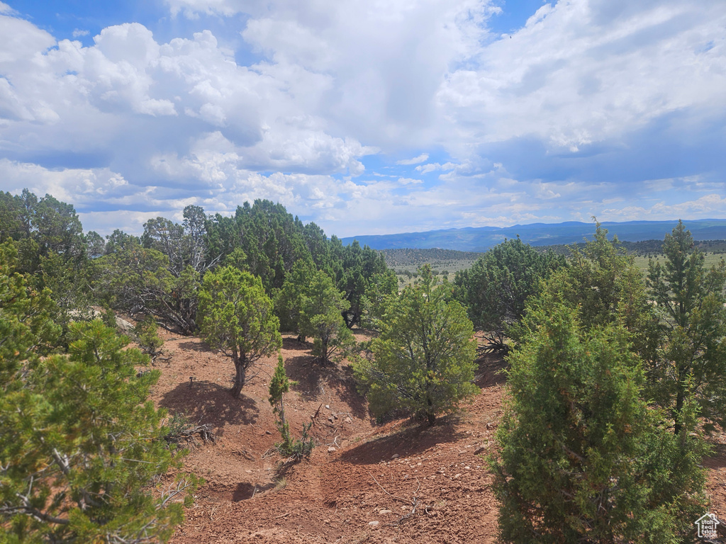 View of mountain background