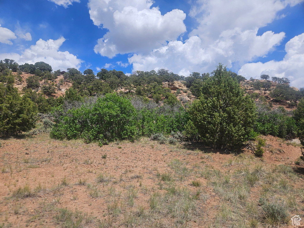 View of undeveloped land
