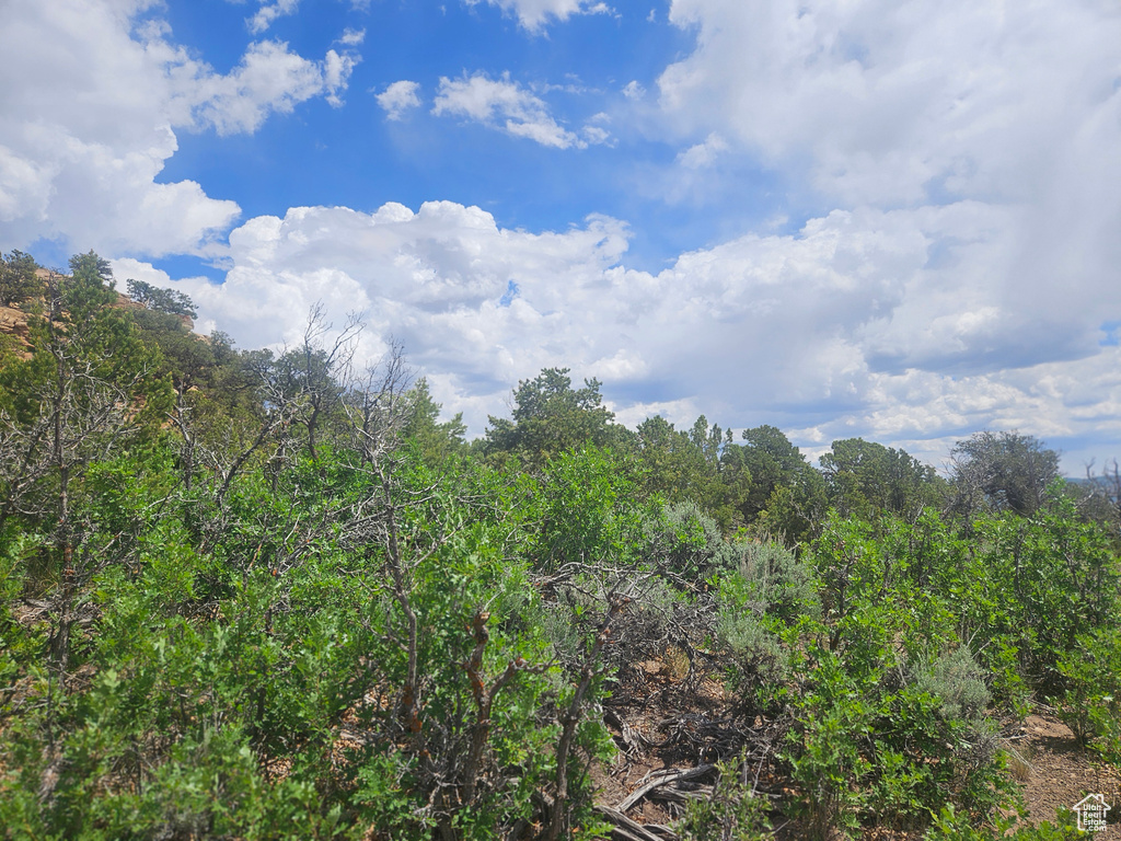 View of nature