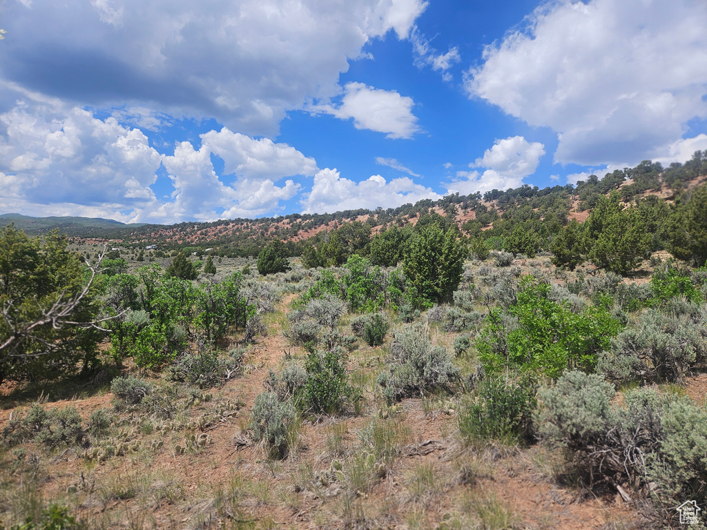 View of mountain background