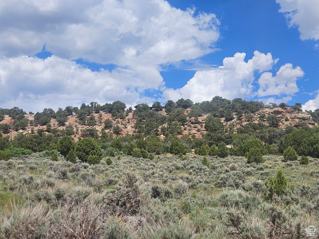 View of undeveloped land