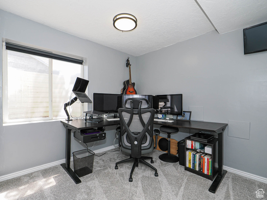 Office with carpet floors and a textured ceiling