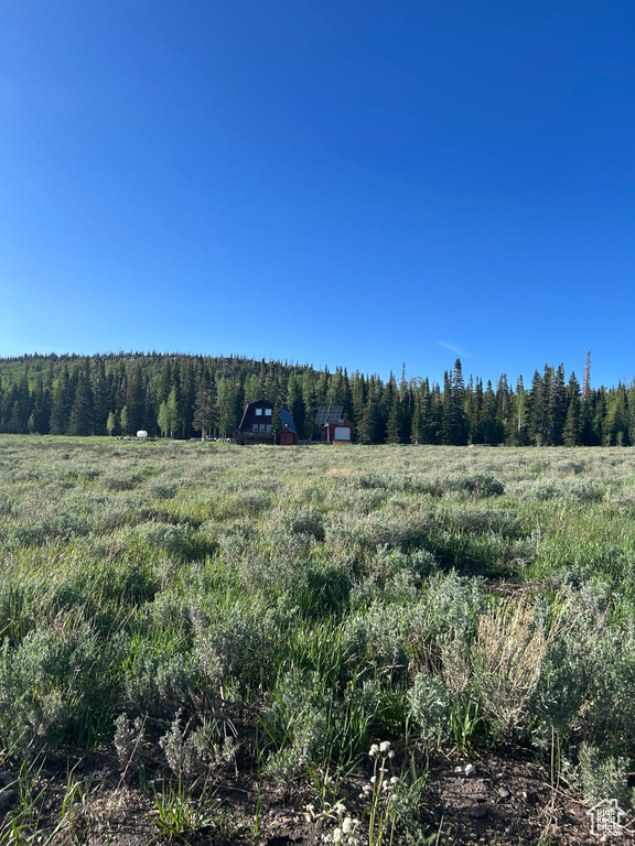 View of tree filled area featuring a rural view