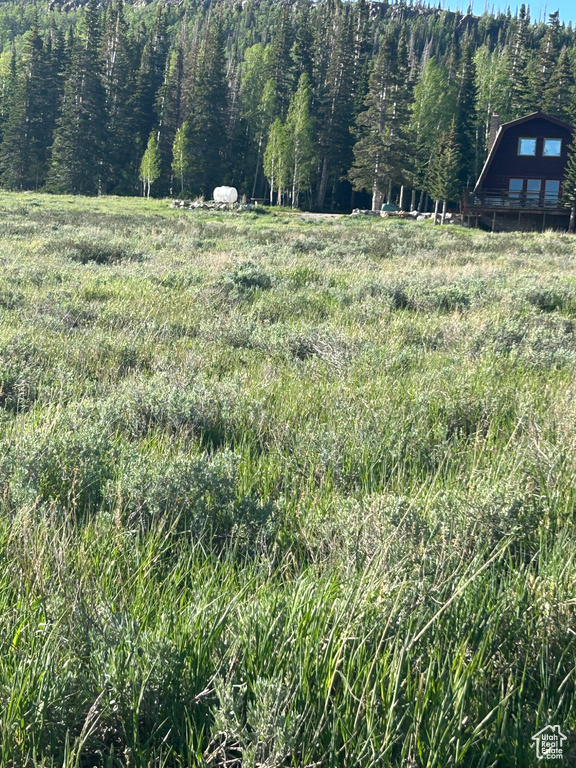 View of yard featuring a view of trees and a rural view