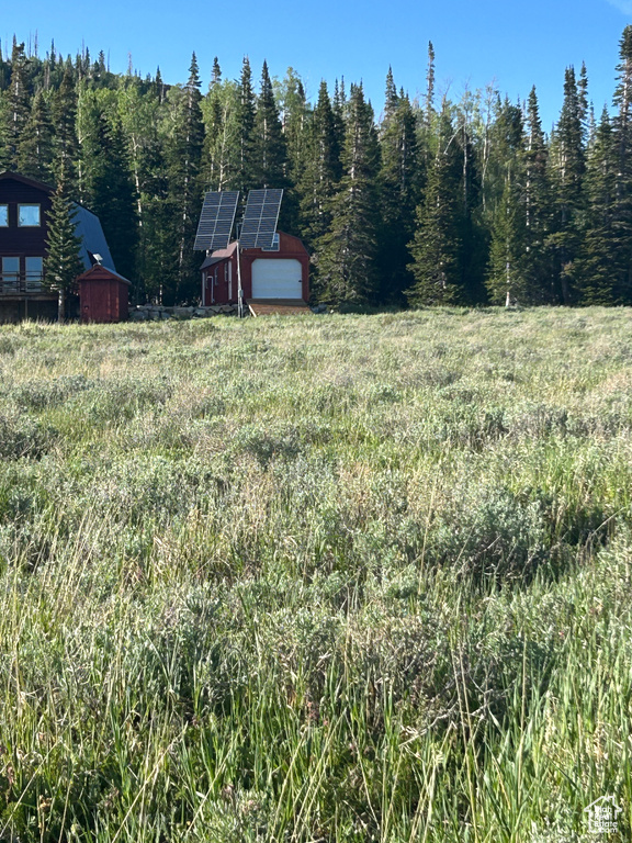 View of yard featuring a view of trees and an outbuilding