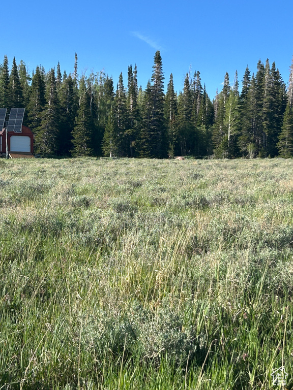 View of undeveloped land