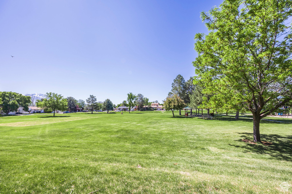 View of home's community with a lawn