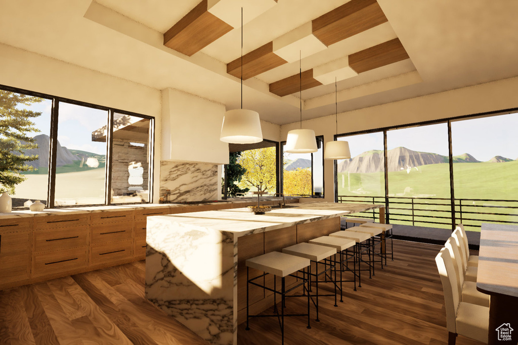 Kitchen with a raised ceiling, pendant lighting, dark wood-style flooring, and healthy amount of natural light